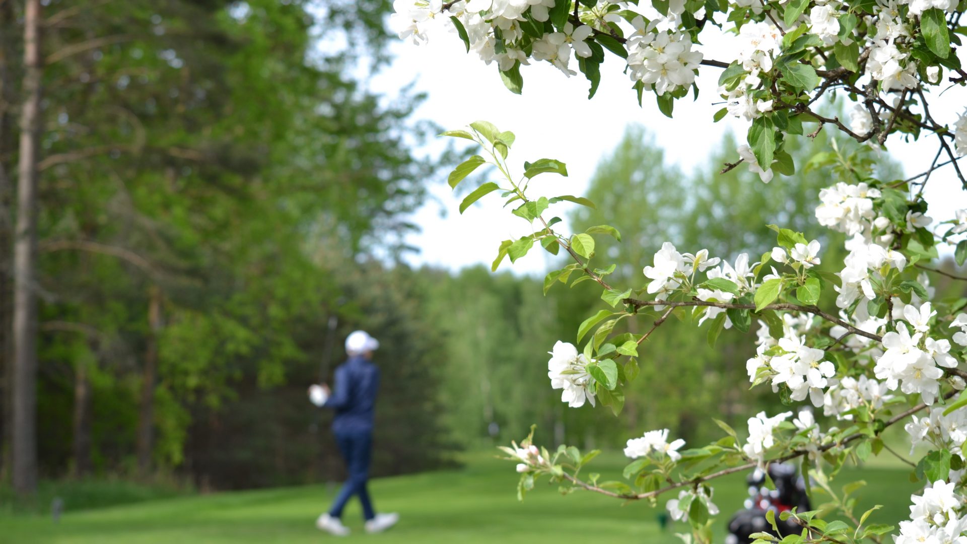 Banner-Image