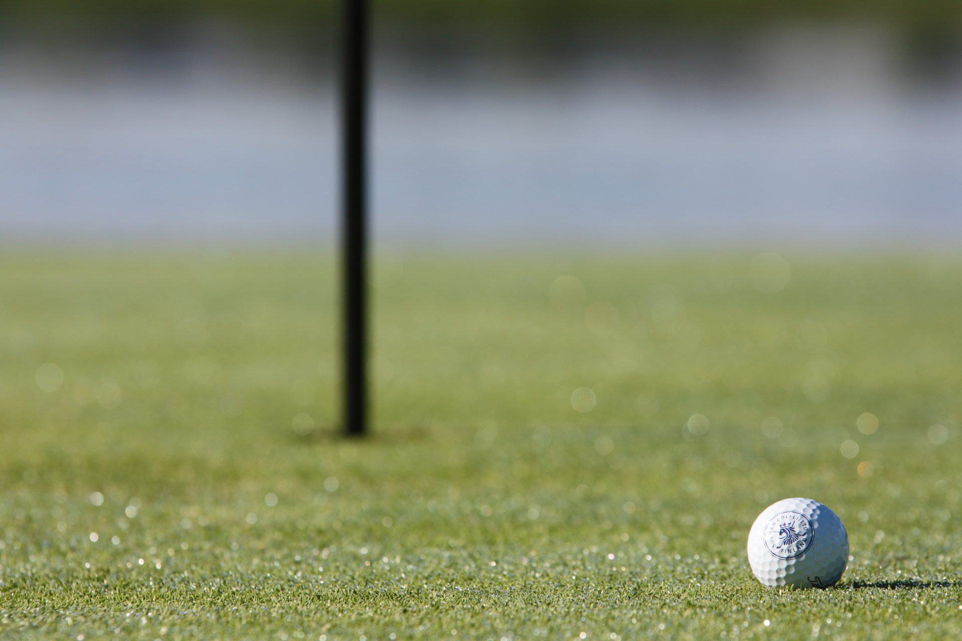 Banner-Image