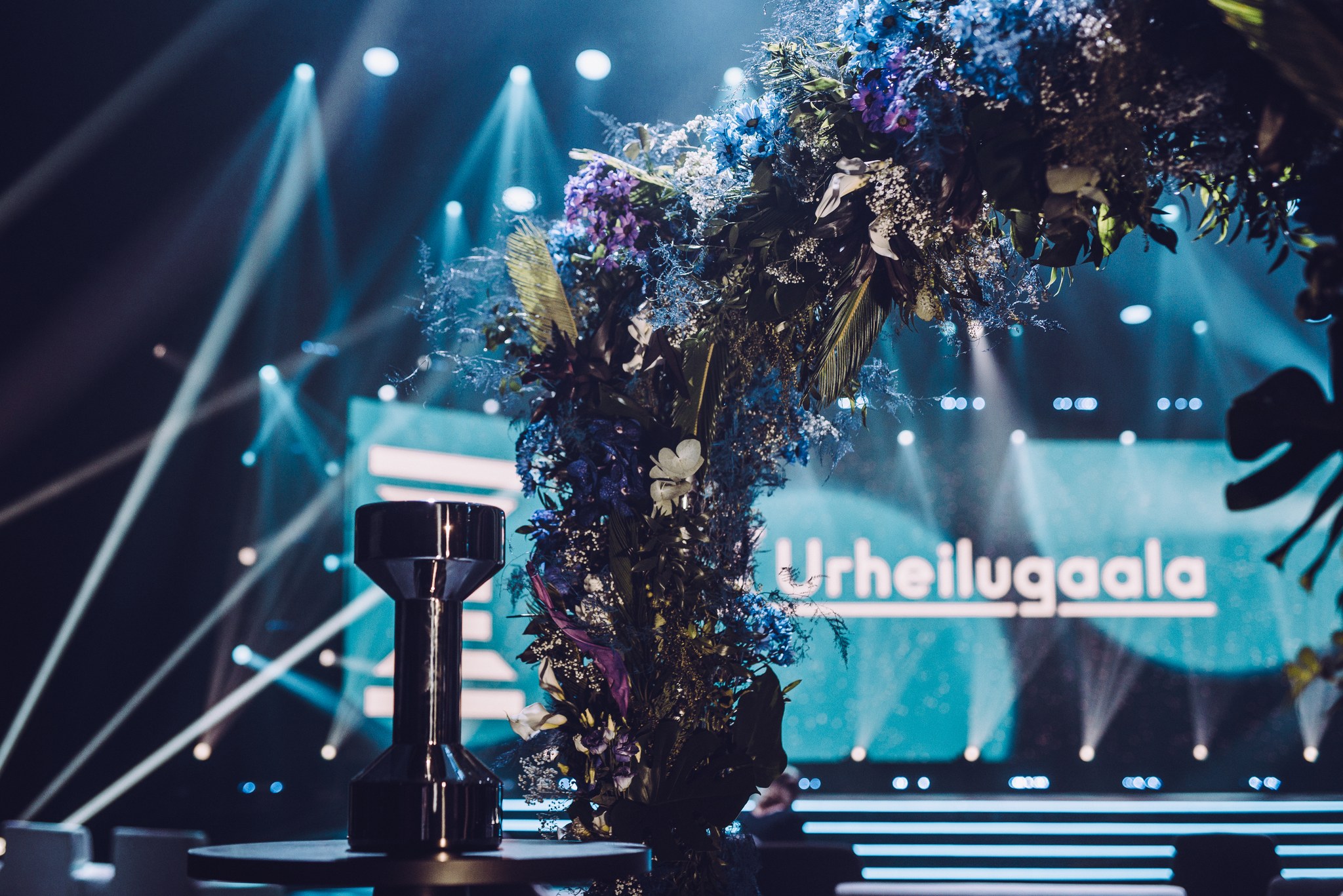 Banner-Image